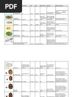 Parasite Profile Chart | PDF | Veterinary Medicine | Wellness