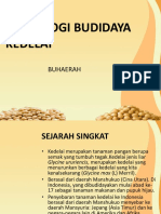 Teknologi Budidaya Kedelai