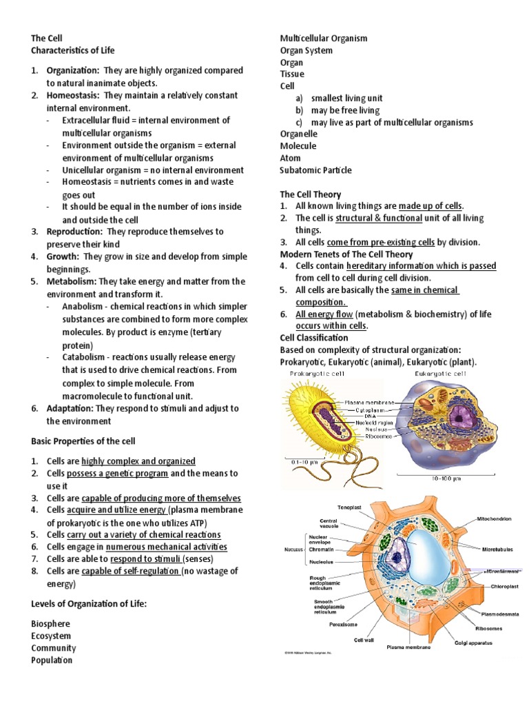 Cell Bio Quiz 1 PDF Cell (Biology) Eukaryotes