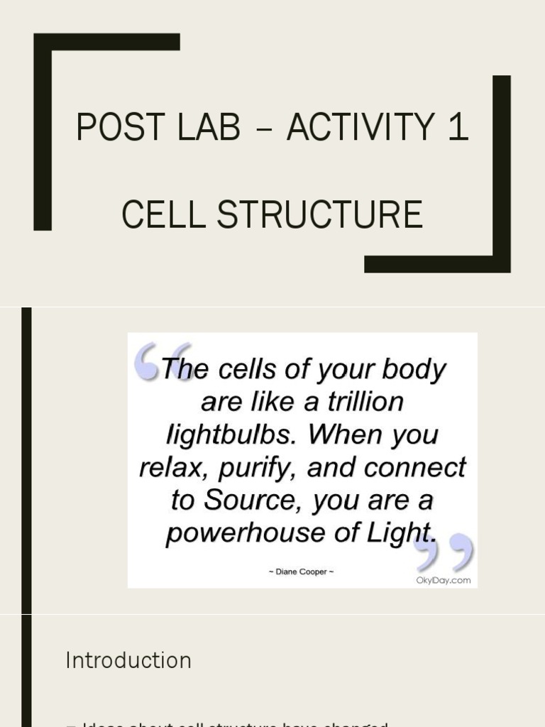 Post Lab - Activity 1 Cell Bio | PDF | Eukaryotes | Cell (Biology)