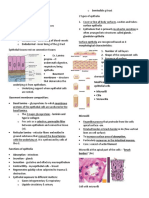 Histolec 1 Epithelium