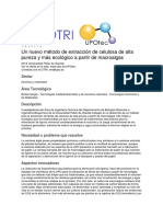 OTRI UPO Macroalgas para La Extraccion de Celulosa de Alta