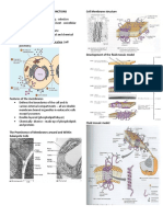 Cell Membrane Structures Ad Functions Cellbio 1