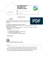 Ficha Formativa 20