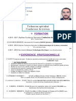 cv-min (1).pdf