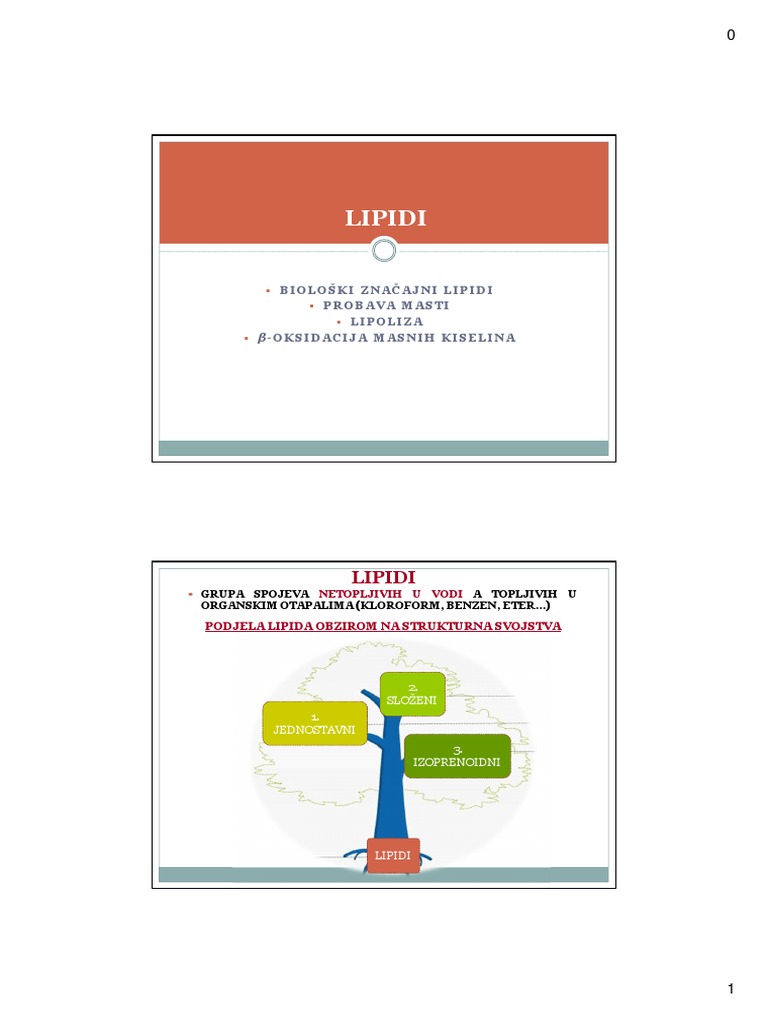 Lipidi 1 | PDF