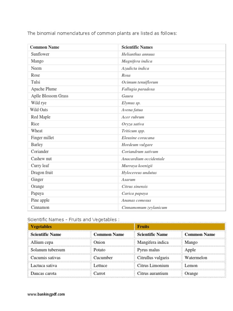 Scientific name for vegetables best sale