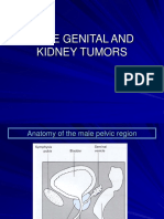 MALE GENITAL AND KIDNEY TUMOR GUIDE