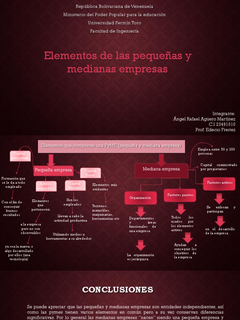 Elementos de Las Pequeñas y Medianas Empresas | PDF | Pequeñas y ...