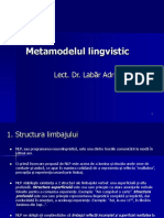 Metamodelul lingvistic suport curs.ppt