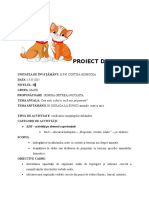 proiect_didacticdlc-1