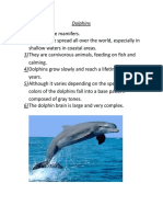 Shallow Waters in Coastal Areas. Calming. Years. Colors of The Dolphins Fall Into A Base Pattern Composed of Gray Tones