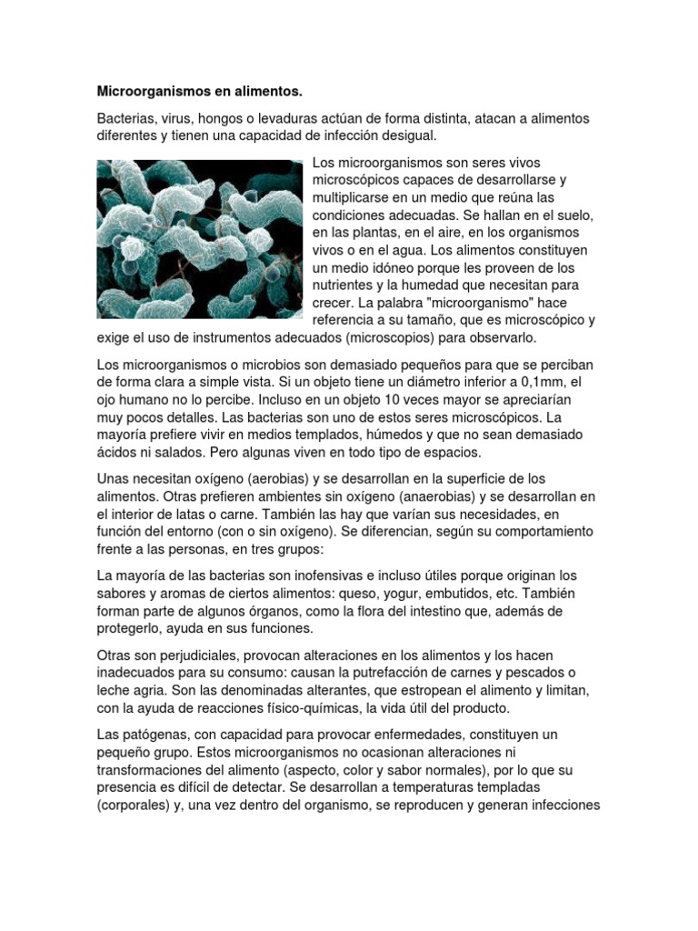 Microorganismos en Alimentos | PDF | Microorganismo | Las bacterias