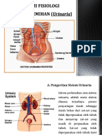 Sistem Perkemihan