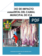 EIA Camal Municipal de Ica