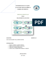 Transferencia de Genes Final