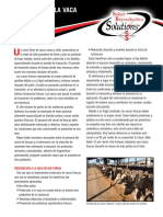 FreshCowManagement Spanish Web