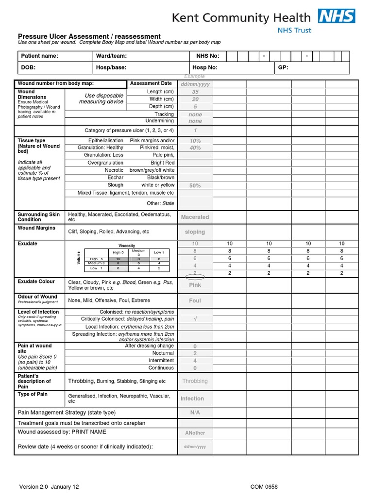 Pressure Ulcer Prevention Chart