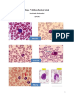 Tugas Praktikum Patologi Klinik