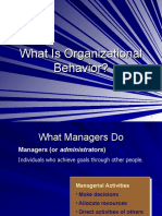 What Is Organizational Behavior?