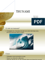 Tsunami (1)