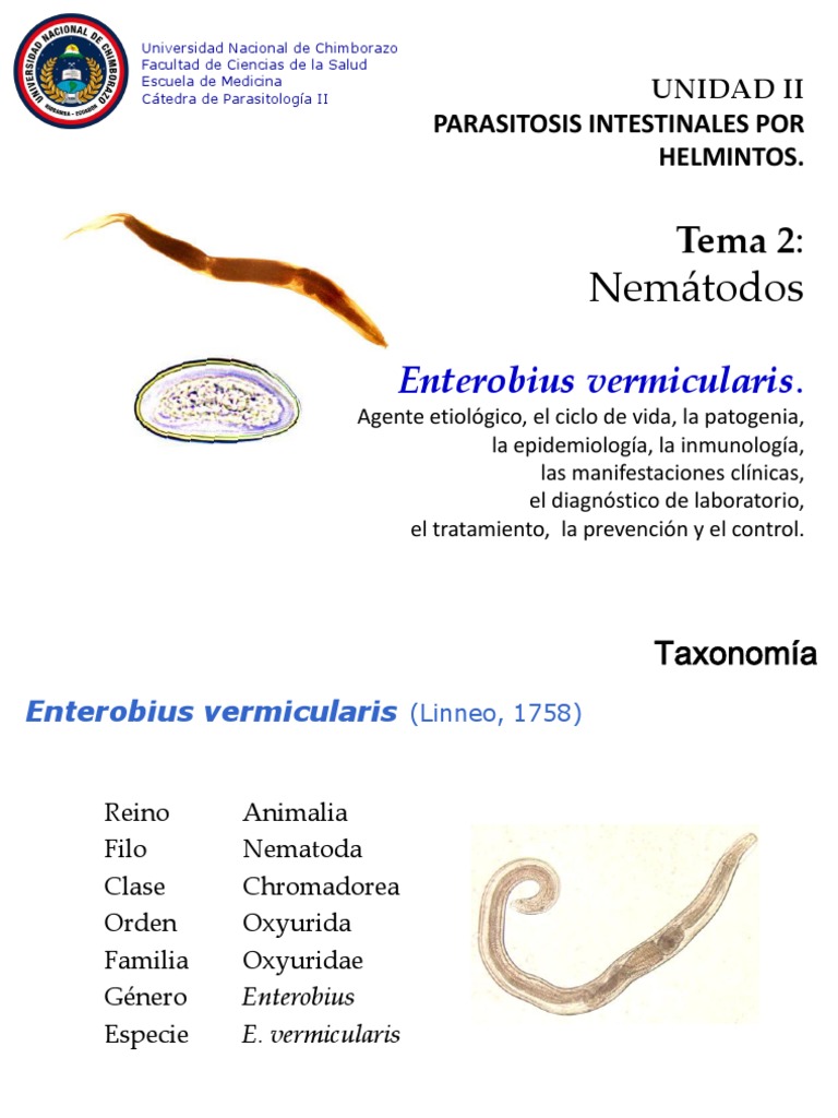 enterobius vermicularis reino paraziták földi kettősségek
