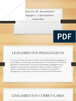 Definición de Lineamiento Pedagógico y Lineamiento Curricular