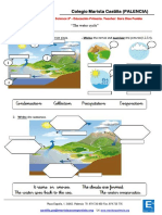 Activity 3 - The Water Cycle PDF