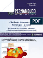 A Organização Do Corpo Humano, Enfatizando a Célula Como a Unidade Básica de Sua Organização