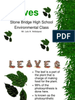 Leaves: Stone Bridge High School Environmental Class