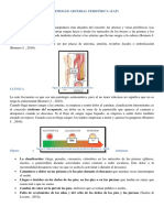 Enfermedad Aarterial Periférica Recuperado