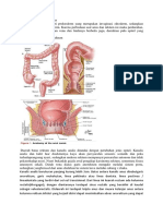 Anatomi Dan Fisiologi Anal-Rektum