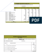 Presupuesto Analitico Potorishiato