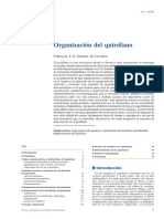 01 - Organización Del Quirófano