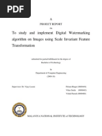 Download Project Report on Digital Watermarking by pritamhinger SN37021026 doc pdf
