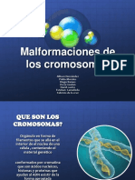 Malformacones Cromocosmicas