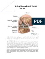 Anatomi Lutut