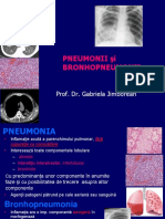 3. Pneumonii Şi Bronhopneumonii Studenti 2016 (1)