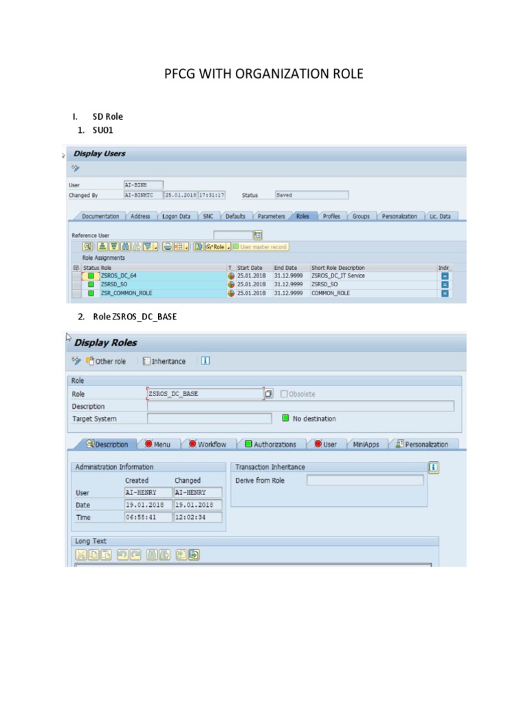 PFCG Organization Roles Overview | PDF