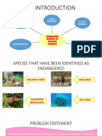 Illegal Hunting, Illegal Logging, Uncontrolled Development: Decreasing Number of Wildlife Animals