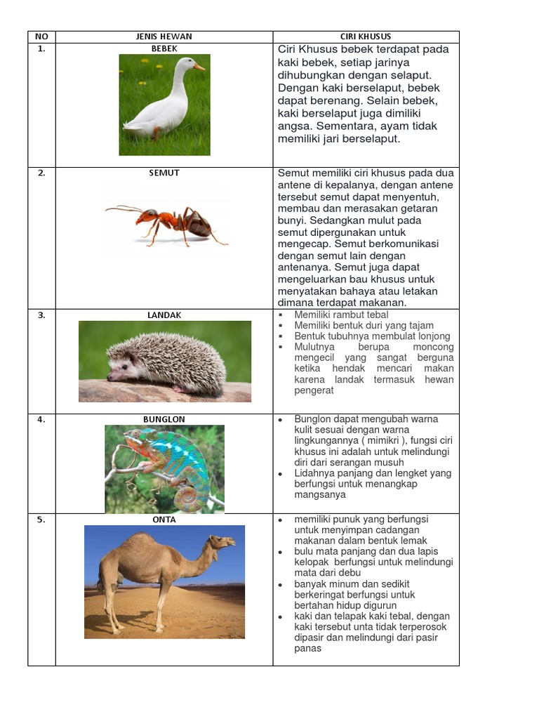 Tuliskan tiga contoh ciri khusus hewan untuk menyesuaikan diri dengan habitatnya
