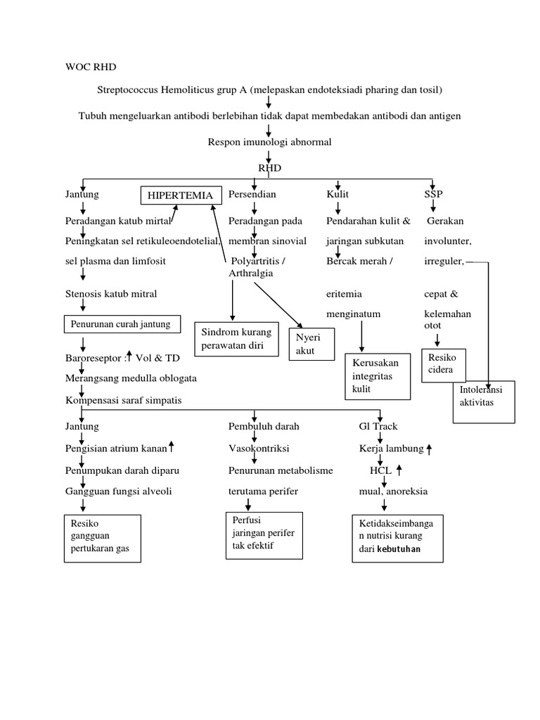 RHD dan Pathway Imunologi Terkait | PDF