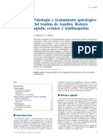 04 - Patología y Tratamiento Quirúrgico Del Tendón de Aquiles. Rotura Aguda, Crónica y Tendinopatías