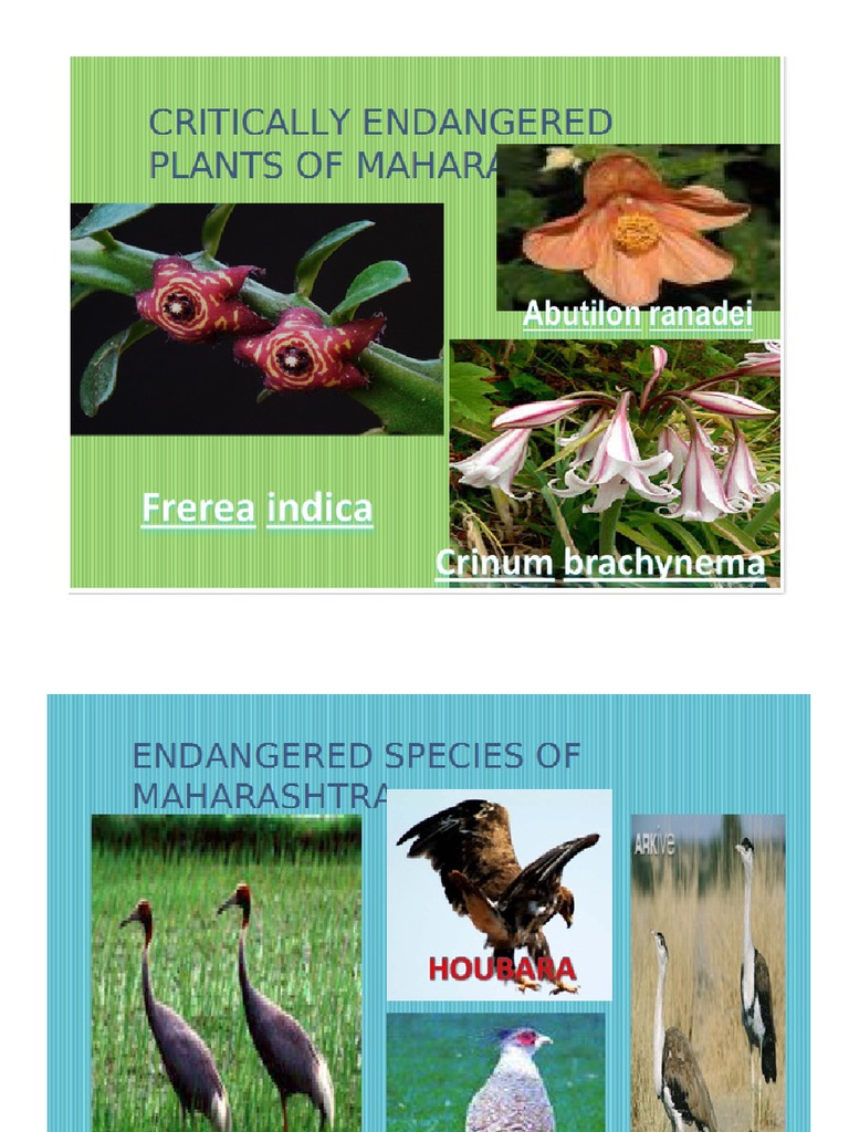 Flora and Fauna of Maharashtra PDF