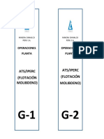 Formato Ats-Iperc Planta Moly