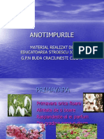 0 3anotimpurile