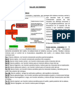 Taller SNP Febrero