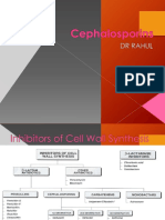 Cephalosporinsl 140615004043 Phpapp01 (1)