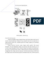 Gen Dna Dan Kromosom