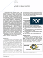 A Eficiencia Da Lavagem de Polpa Marrom PDF